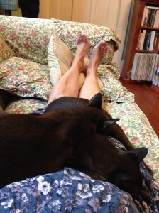 Tired ankles need a rest!